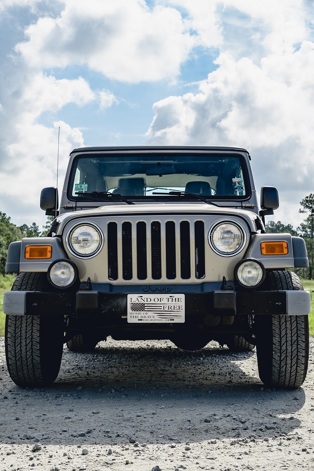 License Plate - Home Of The Brave