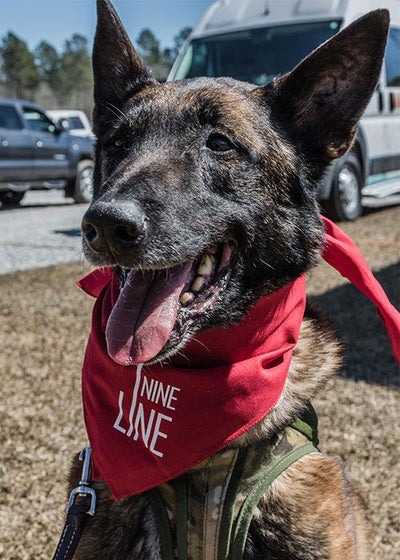 Drop Line Dog Bandana